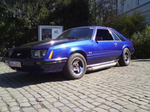 79er Mustang.jpg